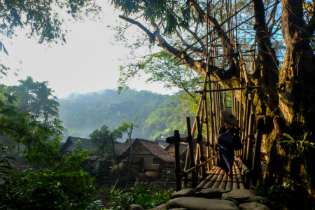 Jembatan Bambu di Kampung Gajeboh, Baduy