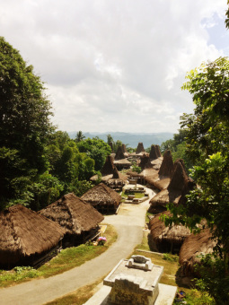 Warisan Budaya Nusantara, Desa Adat Prai Ijing