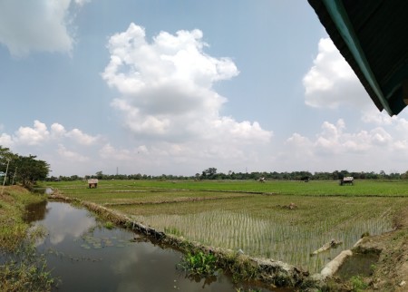 Hati mulia seorang petani