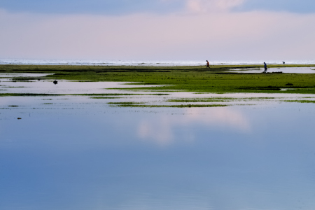 Pagi di Pulau Binongko