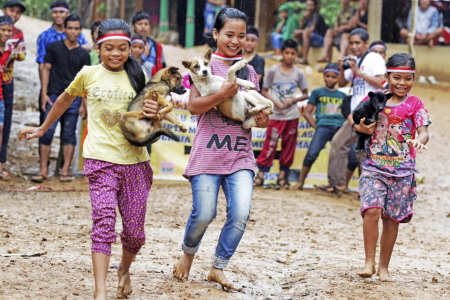 Rayakan Kemerdekaan Indonesia.