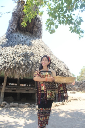 Pakaian adat dan kampung adat