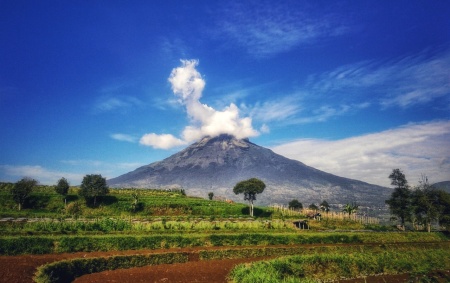 Secercah pagi Sindoro