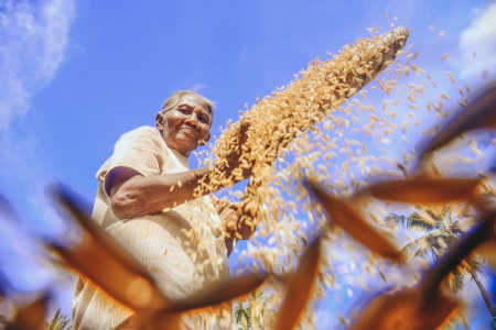 Harvest