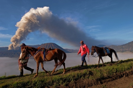 Penunggang Kuda Bromo dan Erupsi