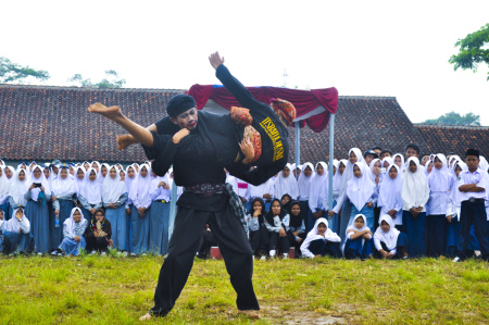 pencak silat