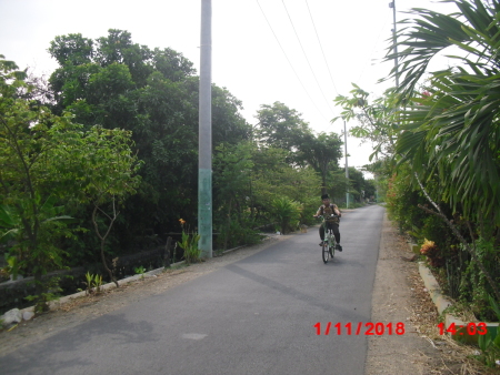 Kampung green and clean