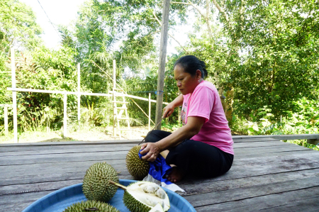 Membelah Durian