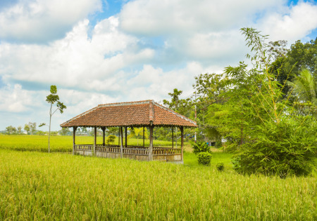 Gubug Pinggiran Kota Banyumas