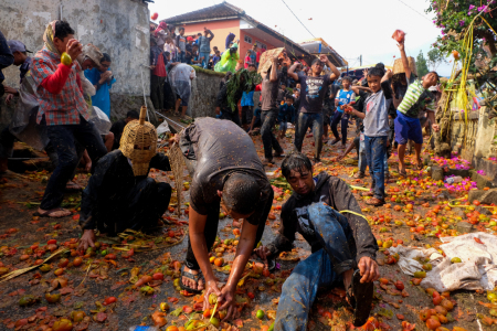 Suasana Rempug Tarung Adu Tomat di Kampung Cikareumbi