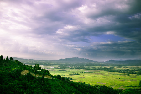 Puncak Perkebunan Cengkeh