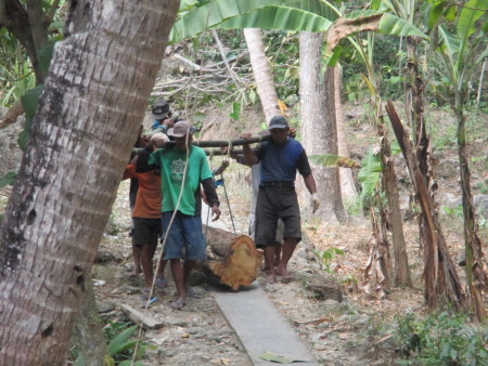 Memanggul Kayu Dari Hutan Rakyat