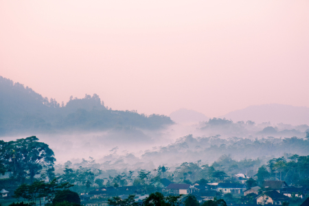 kabut pagi di desa karangkobar