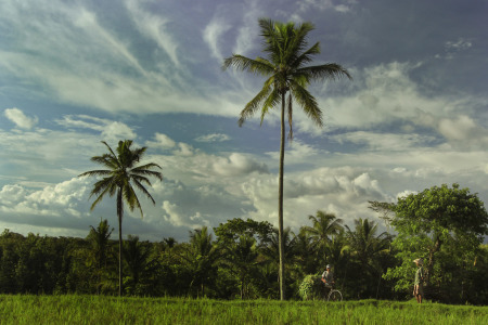 obrolan sang petani