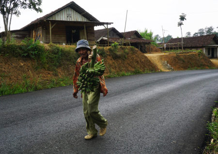 Memanggul Pisang dari Hutan