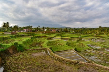 Desaku yang Indah