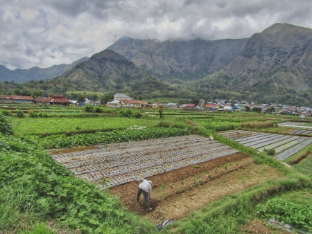 SEMANGAT BERTANI