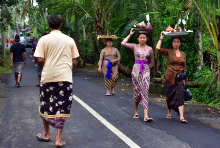 A Classic Scene of Balinese