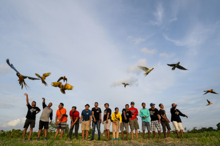 Pelepasan burung di kampung astra