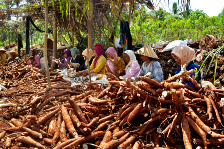 Pekerjaan Para Ibu