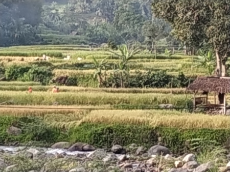 Terimakasih pada mereka