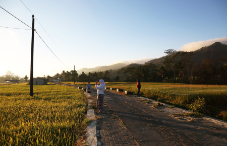 Liburan pulang kampung