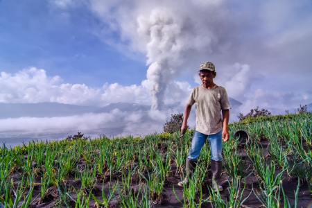 Petani Bawang Bromo