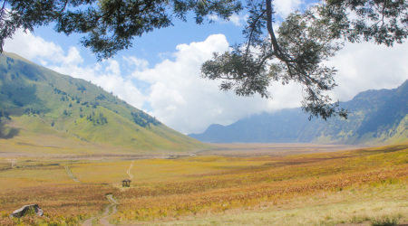 Surga di Sisi Bromo