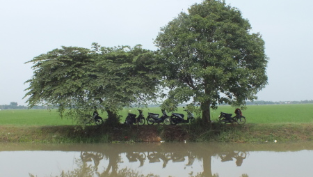 Lumbung padi karawang