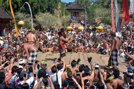 Tradisi Perang Pandan Desa Tenganan Dauh Tukad