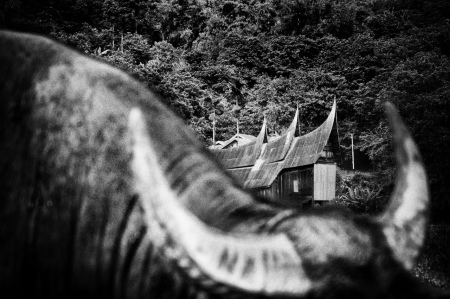 Rumah Gadang