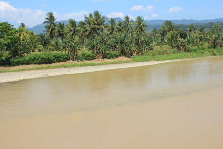 pulang kampung