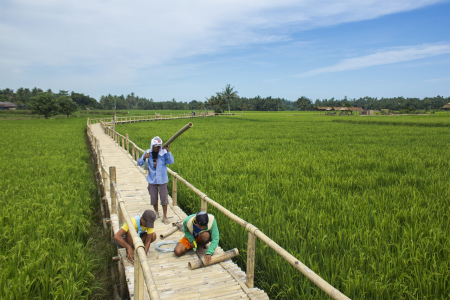 Mengembangkan Desa melalui Agrowisata