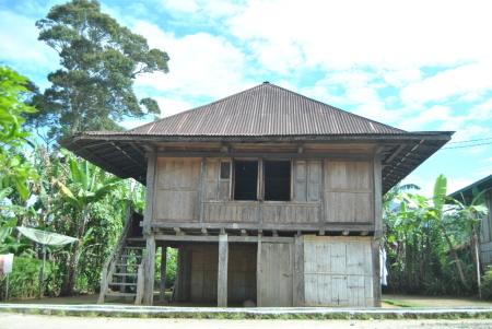 Rumah Panggung