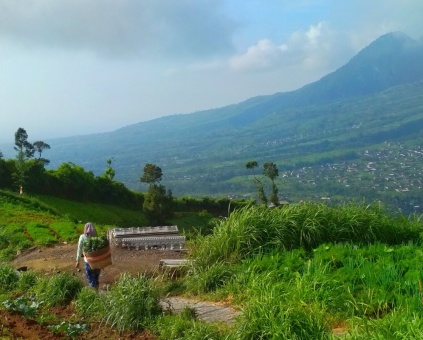 Surga sisi lain Gunung Merbabu Boyolali