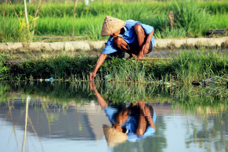 Petani desa