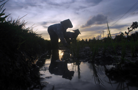 Hingga Senja