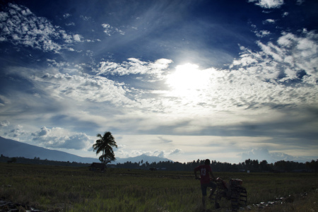 Membajak ladang