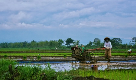 Membajak sawah non remote