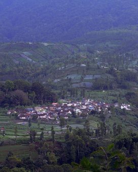 kampung di kaki bukit