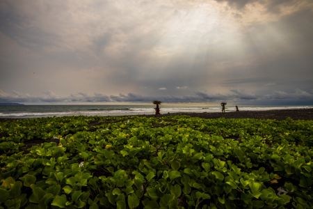 Senja Pantai Desa Wotgalih