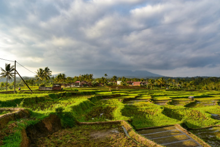 Desaku yang Indah