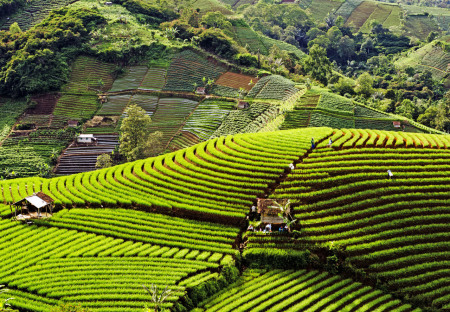 Semangat Kampung Panyaweuyan