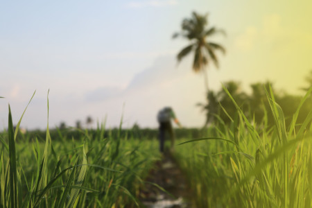 Dia Bukan Petani, Dia Pecinta Alam