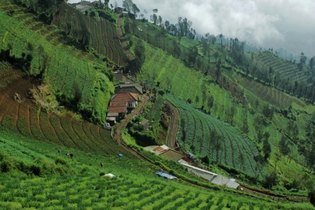 Kampung Nusantara