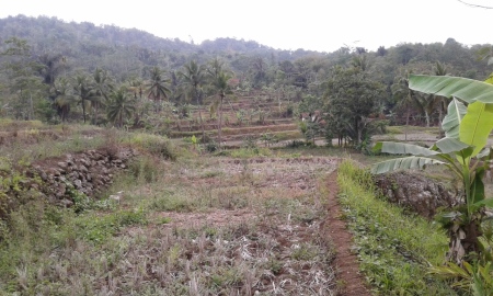 Lahan untuk pertanian yang memiliki pemandangan yang luar biasa