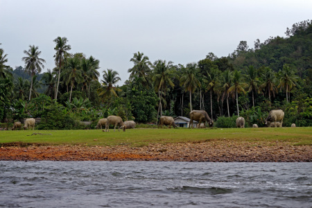 KAMPUNG BATU SONGGAN II