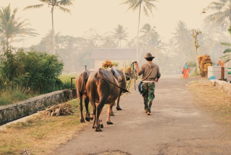 Waktunya Pulang