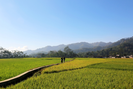 Kabarkan kepada duniaâ€¦ desa kami cantik