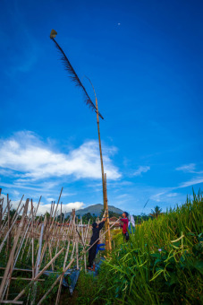 Anak-anak dan Kolecer Rusak